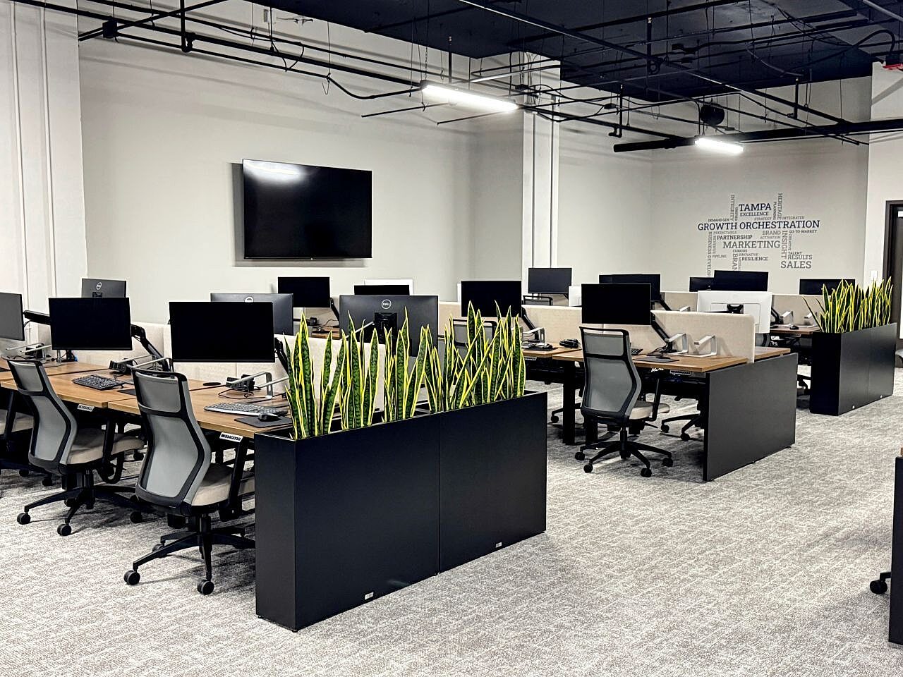 Open office with shared workstations, ergonomic seating, integrated planters and branded wall graphics.