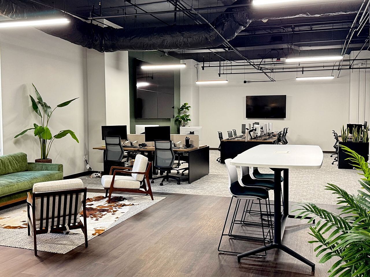 Open office with workstations, collaborative seating, lounge furniture and greenery.