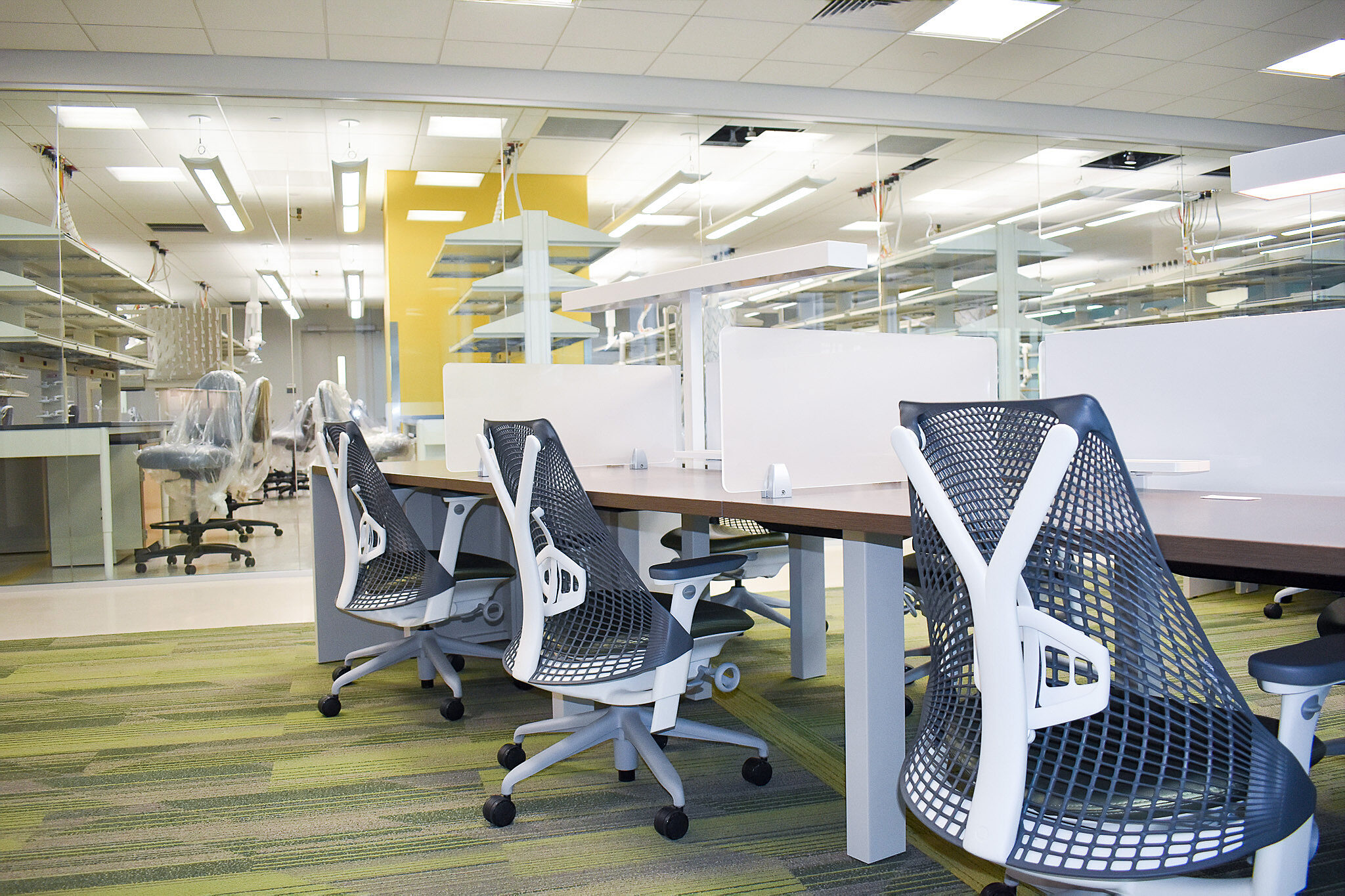 Open office workspace with benching desks, ergonomic mesh chairs, and glass partitions in a bright, modern environment.
